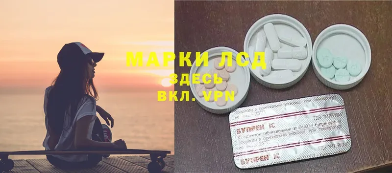 магазин продажи наркотиков  Камень-на-Оби  LSD-25 экстази ecstasy 