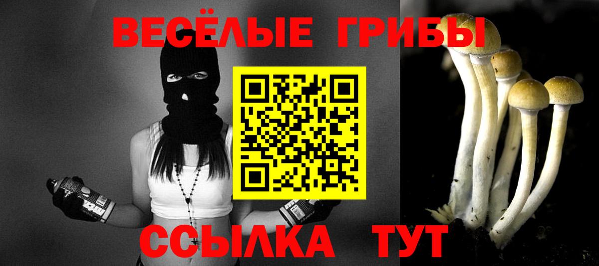 Камень-на-Оби  Псилоцибиновые грибы ЛСД  Галлюциногенные грибы мицелий  Вход с VPN 