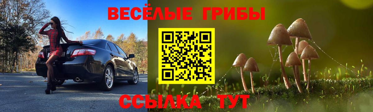 Галлюциногенные грибы мицелий Камень-на-Оби