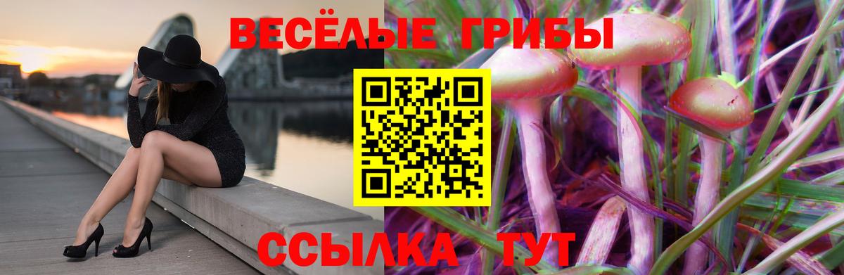 Псилоцибиновые грибы Magic Shrooms  Камень-на-Оби  где можно купить   Галлюциногенные грибы прущие грибы 