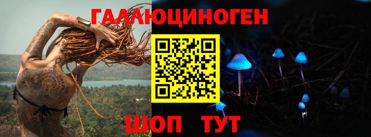 Галлюциногенные грибы Cubensis Камень-на-Оби